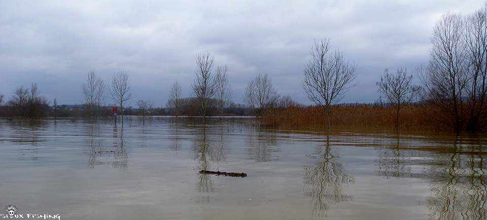 La Saône en Crue