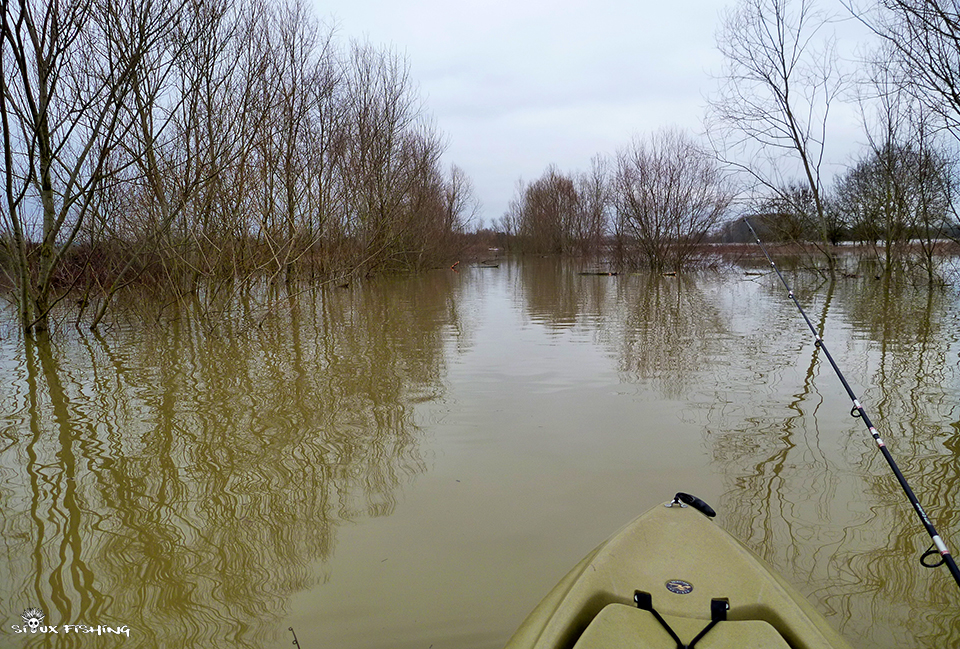 La Saône en Crue