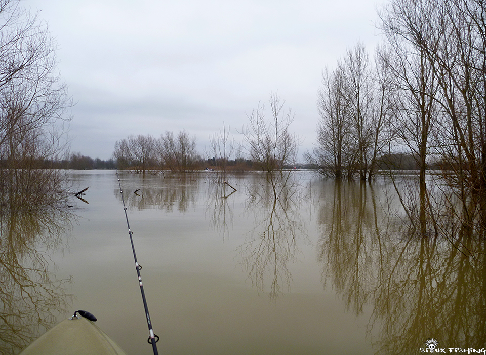 La Saône en Crue
