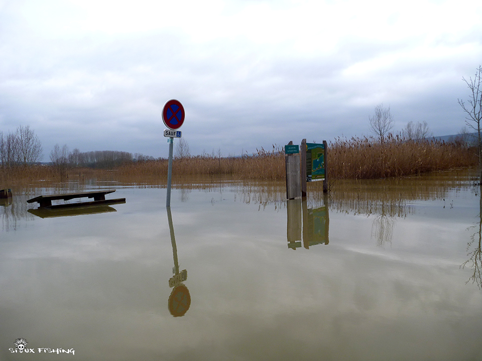 La Saône en Crue