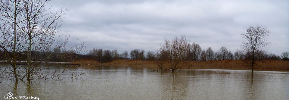 La Saône en crue