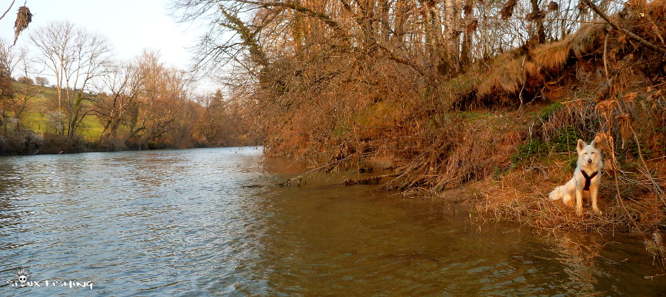 Au bord de l'Ain