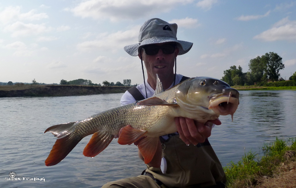 Barbeau de Loire