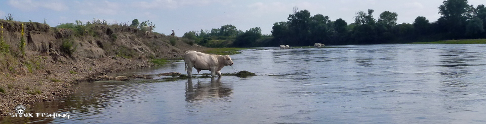 La Loire