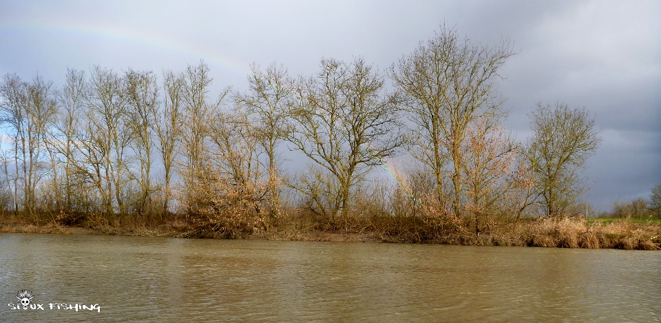 La Seille en hiver