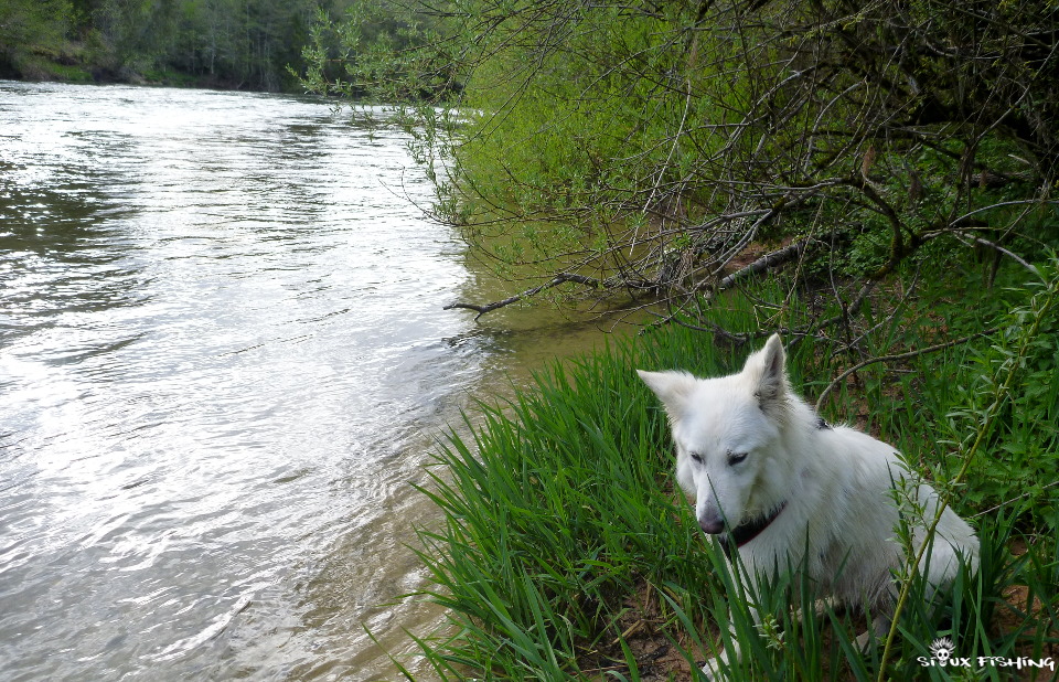 La Haute Rivière d'Ain