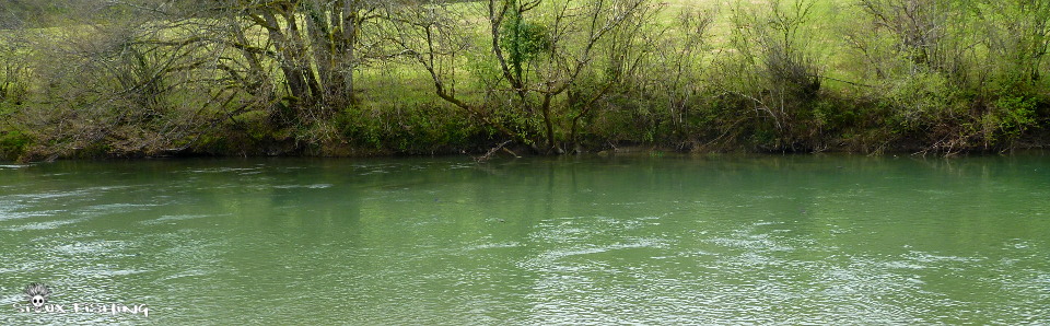 La Haute rivière d'Ain