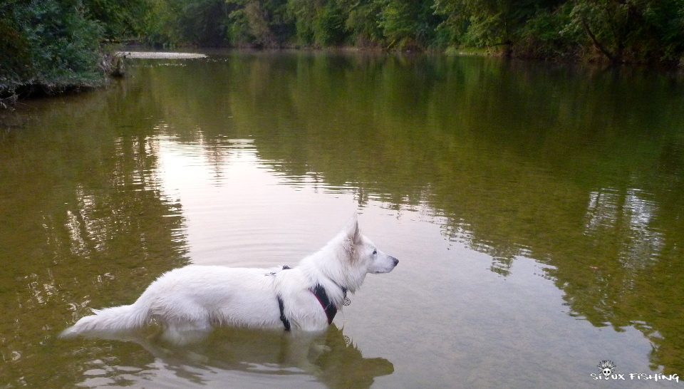 La Haute Rivière d'Ain