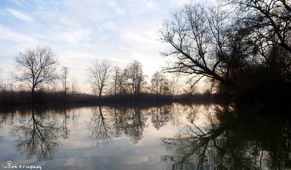 La Seille en hiver