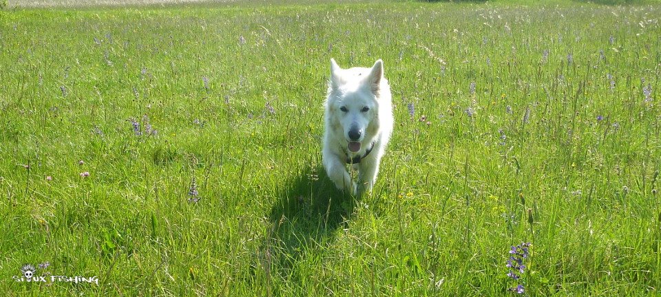 En ballade au bord de l'Ain