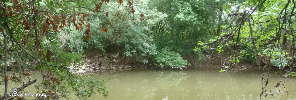 La Grosne à la Ferté