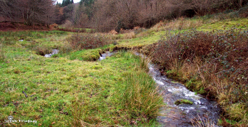 Le ruisseau des Vernottes dans le Morvan