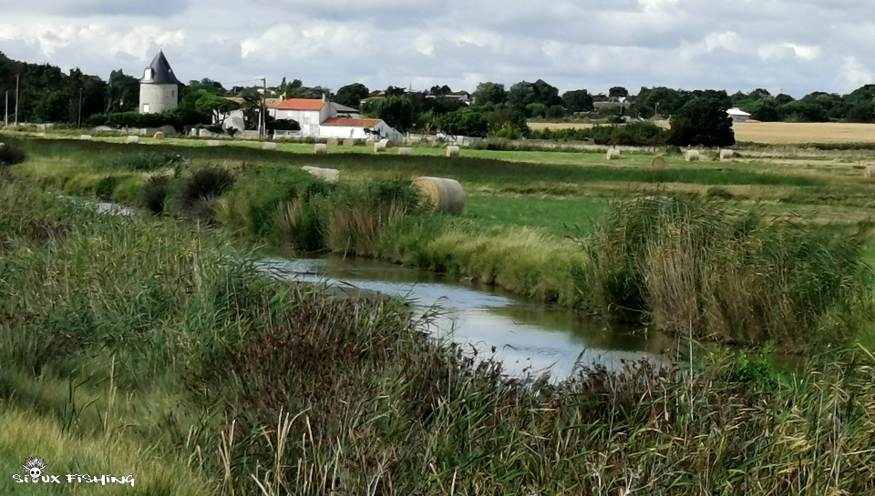 Fouras en Charentes maritime