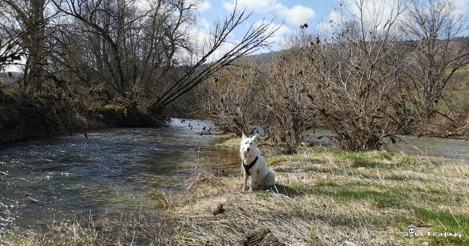 La Haute rivière d'Ain