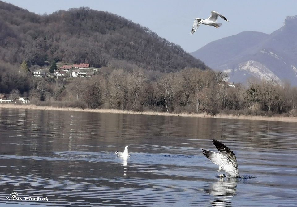 Lac du  Bourget