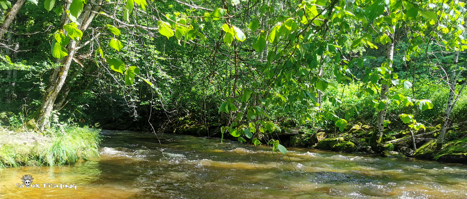 une rivière du Morvan