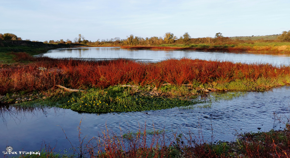 La Loire à Artaix