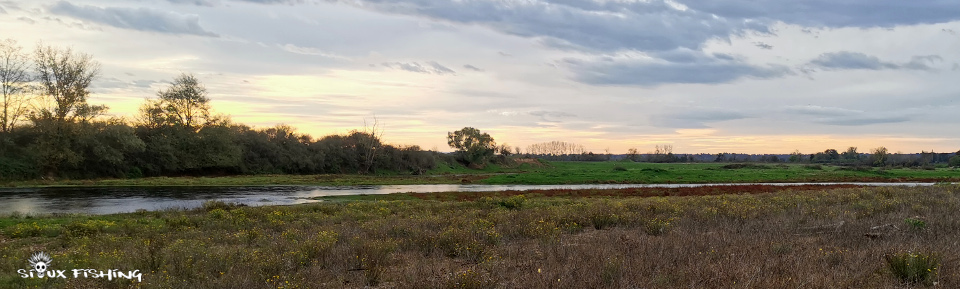 La Loire à Artaix (71)