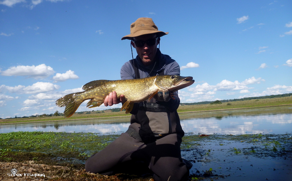 brochet de Loire