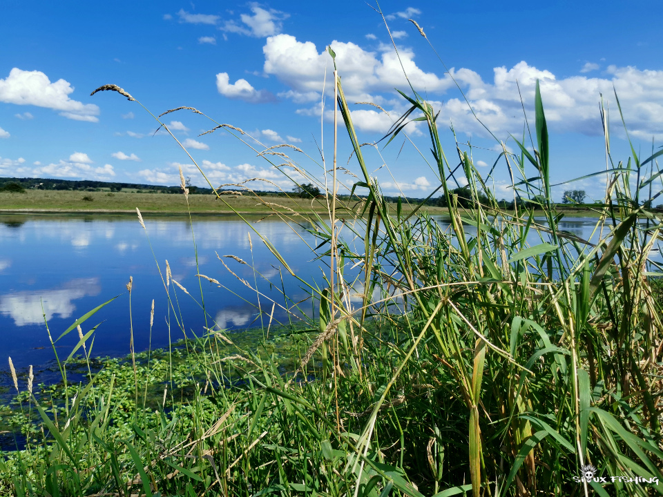 La Loire