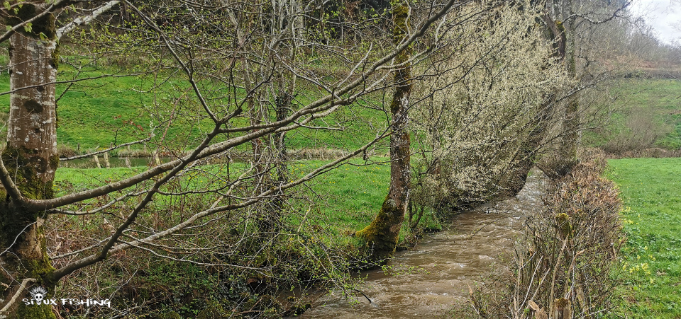 ruisseau aux eaux hautes et teintées