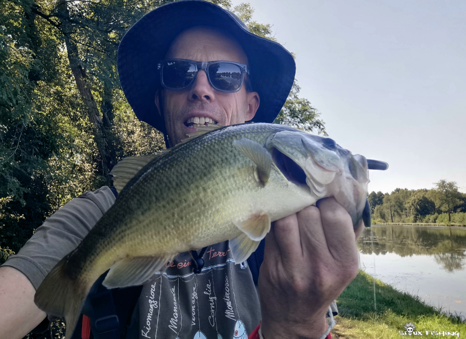 Black-bass du canal