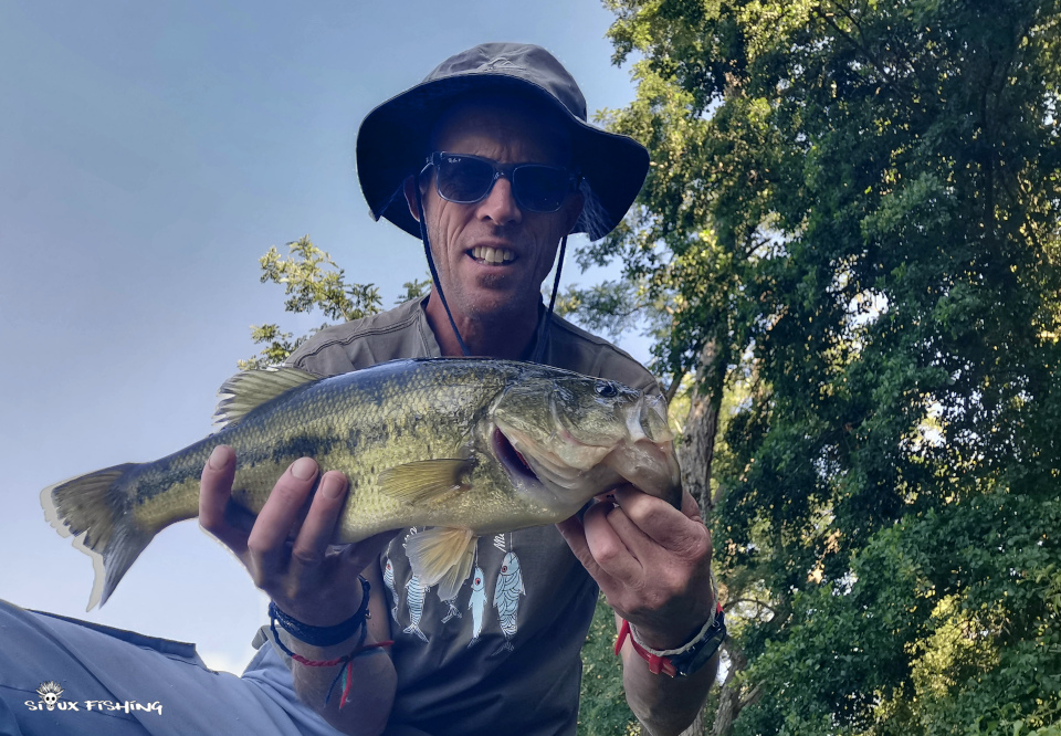 Black-bass du canal
