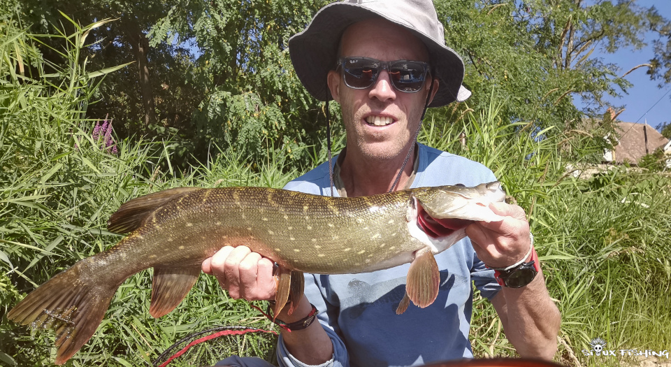 Brochet de Loire