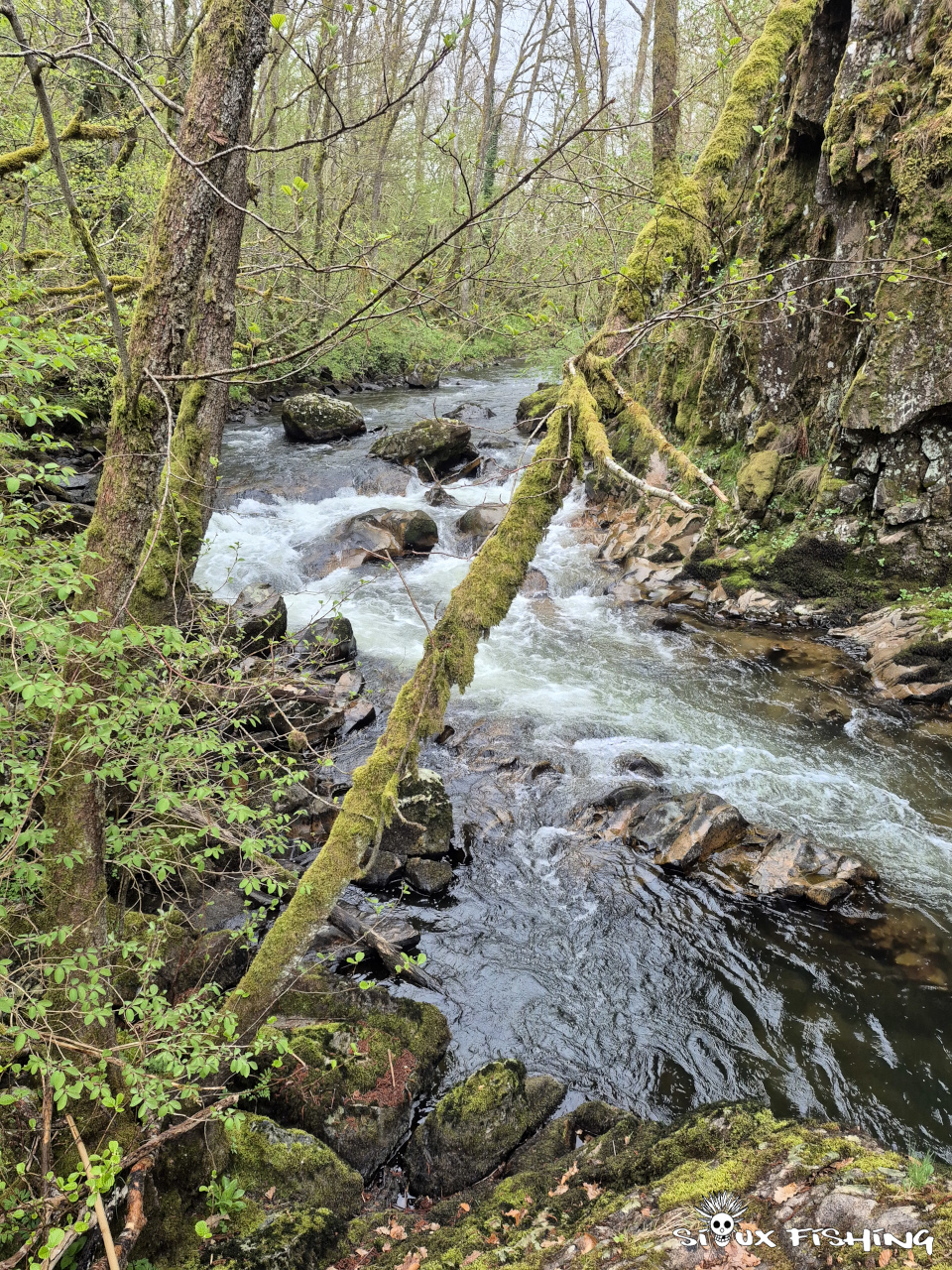 La Dordogne sur le No_Kill de Saint-Sauves d'Auvergne