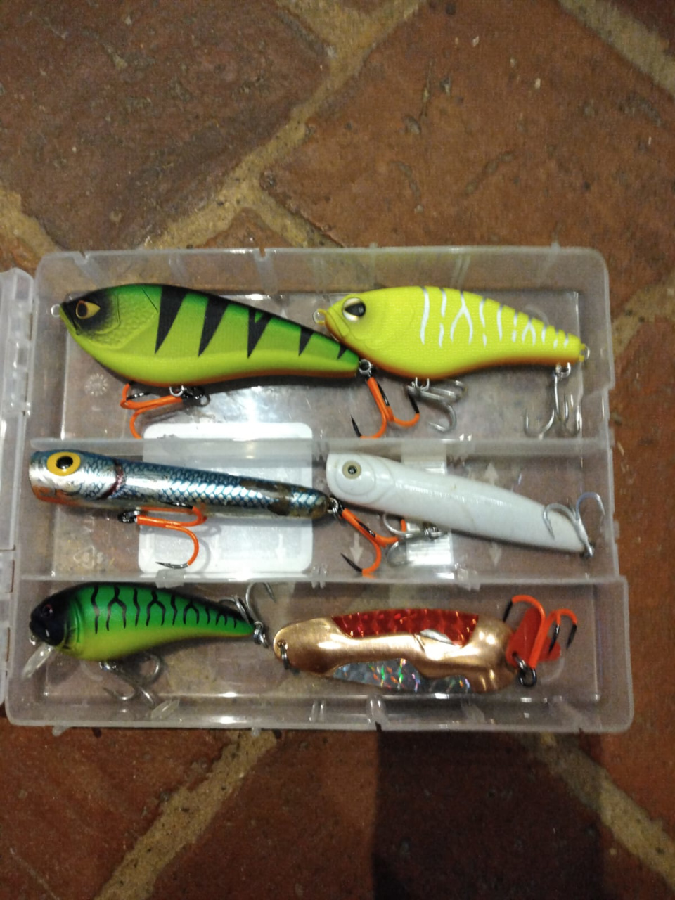 guyanne 2025 artilce1 1