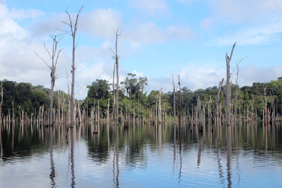 guyanne 2025 artilce1 11