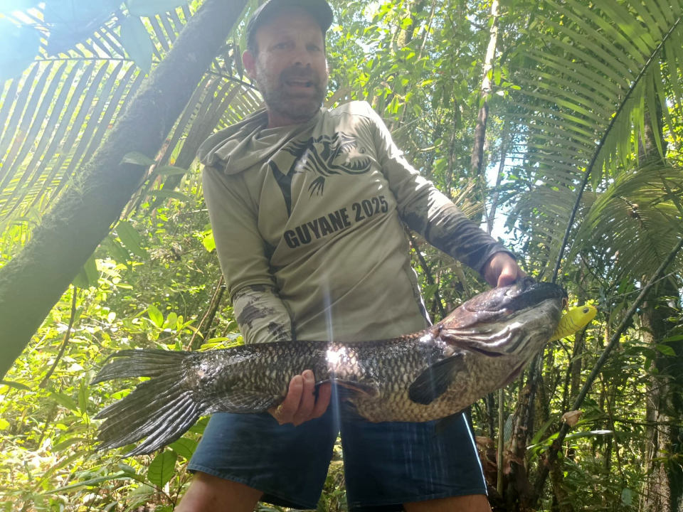 guyanne 2025 artilce1 13