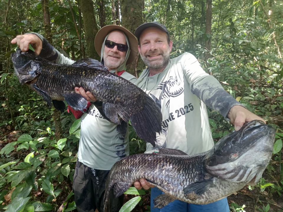 guyanne 2025 artilce1 14