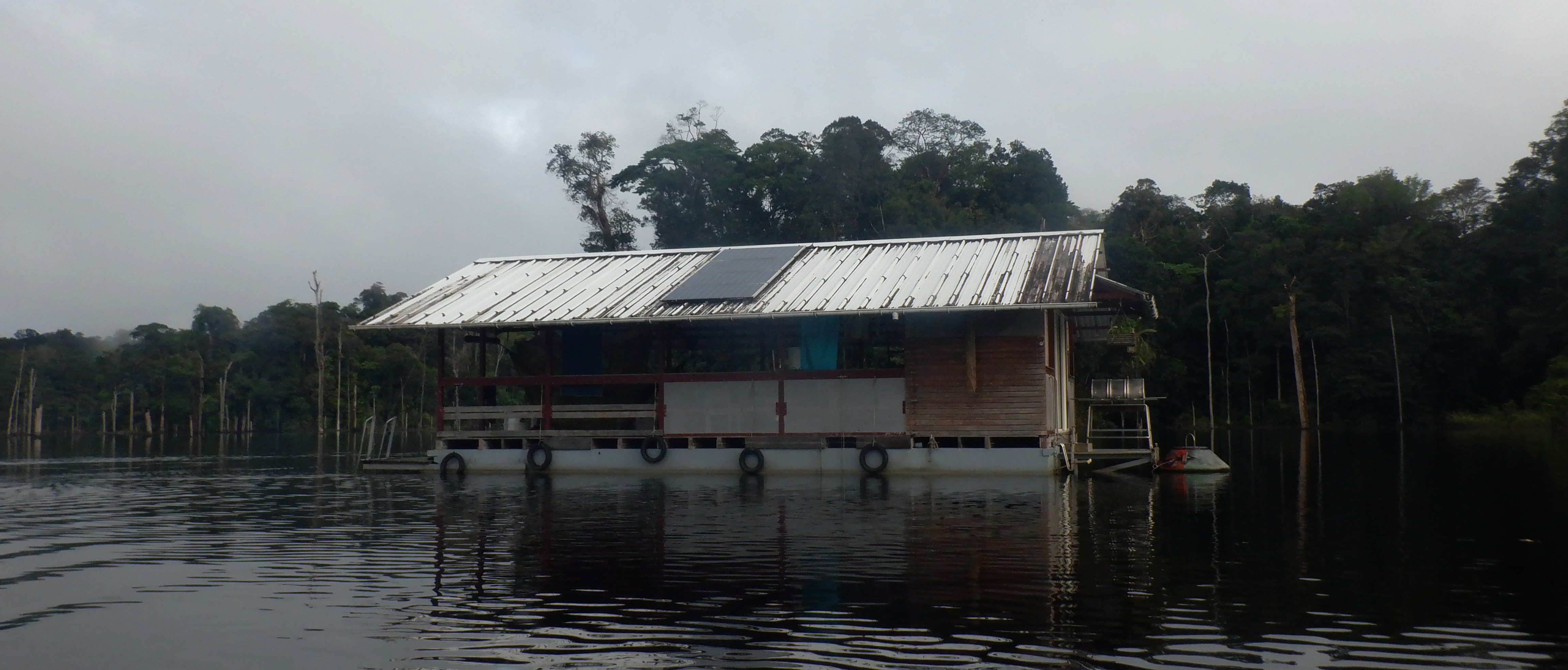 guyanne 2025 artilce1 8