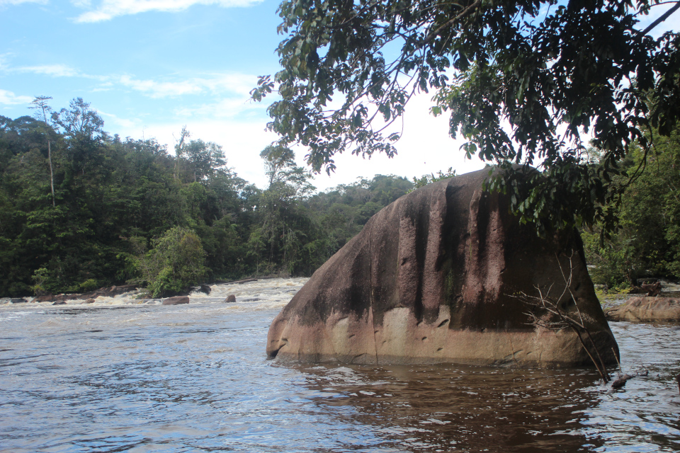 guyanne 2025 artilce1 9