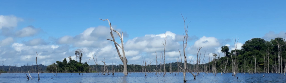 guyanne 2025 artilce1 banniere