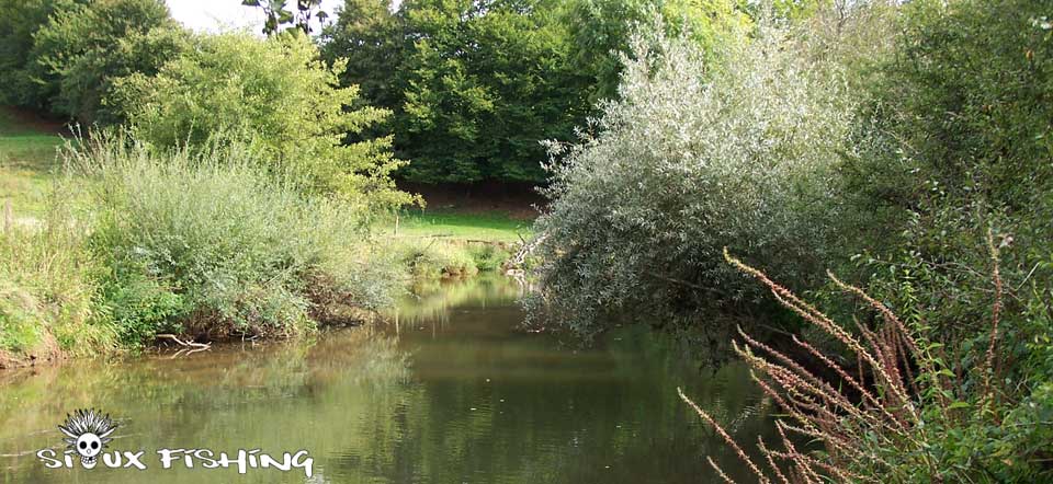 L'Arconce à Moulin l'Arconce