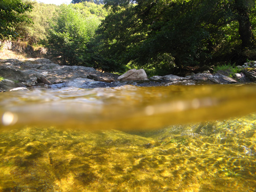 Le Gardon de Sainte-Croix