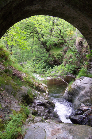 Affluent du Gardon de Sainte-Croix