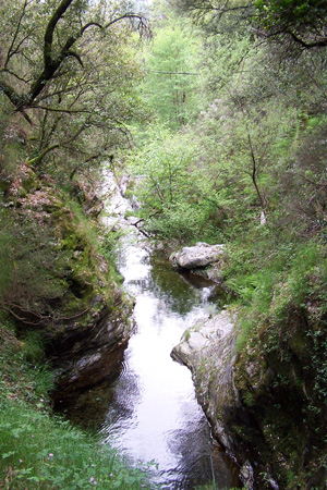 Affluent du Gardon de Sainte-Croix