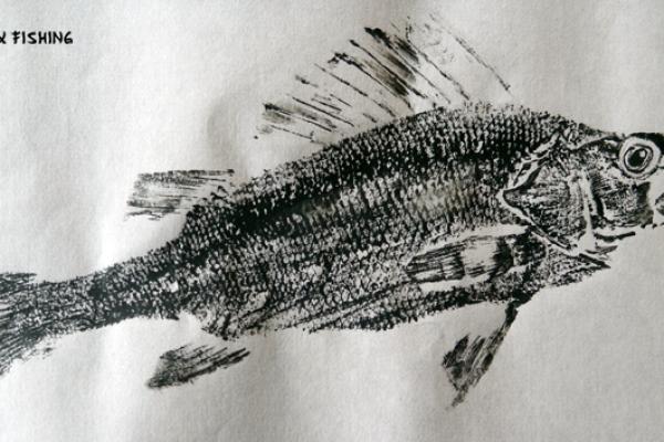 _20_Gyotaku - Perche collection