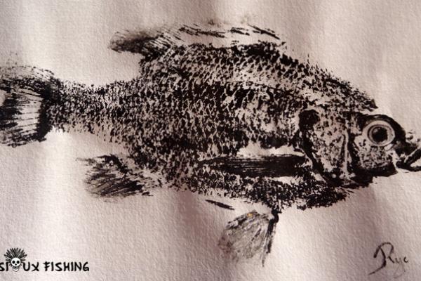 _24_Gyotaku - Perche soleil collection