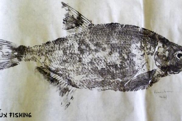_25_Gyotaku - Brème commune collection