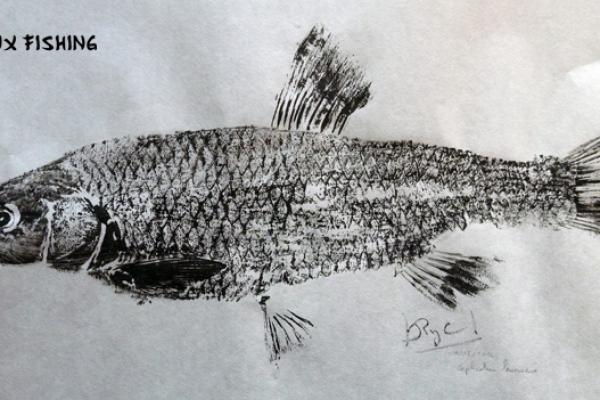 _26_Gyotaku - Chevesne collection