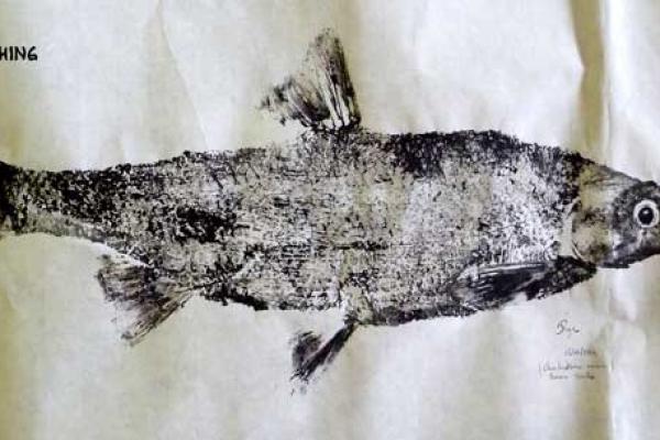 _28_Gyotaku - hotu collection 
