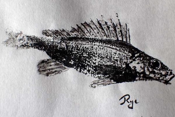 _29_Gyotaku - Grémille collection