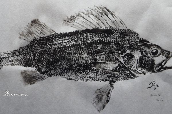 _30_Gyotaku - Perche collection