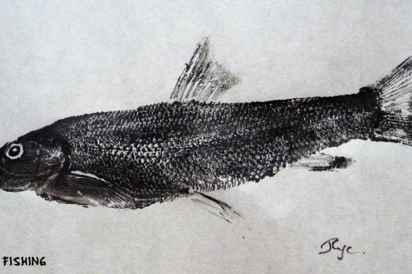 _32_Gyotaku - Barbeau fluviatile collection