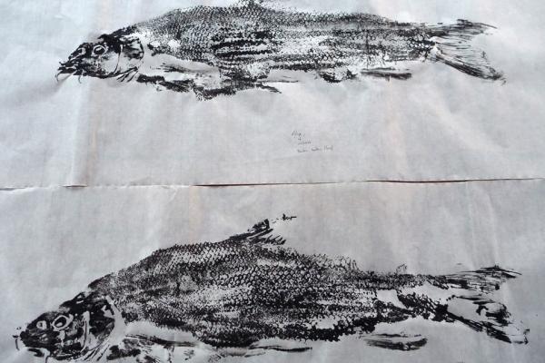 _33_Gyotaku - Barbeau fluviatile
