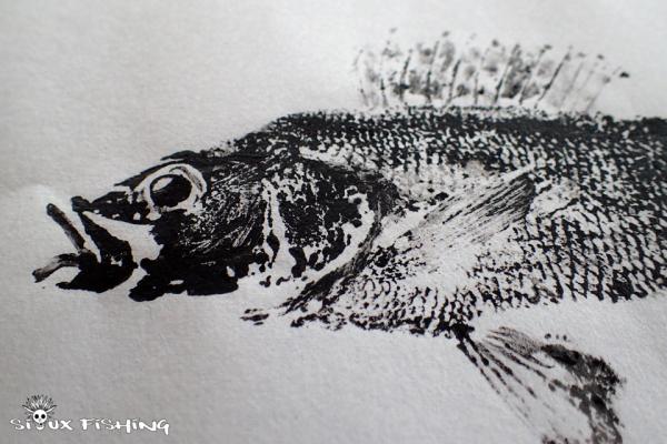 _34_Gyotaku - Perche collection